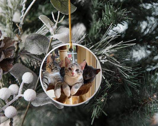 Pet Custom Ornament